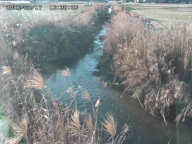 由良川４2026/02/17 18:10