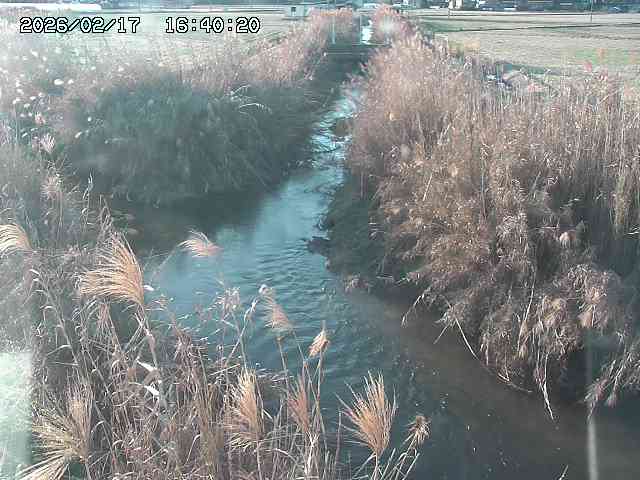 由良川４2026/02/17 18:10