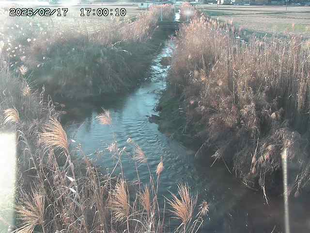 由良川４2026/02/17 18:10