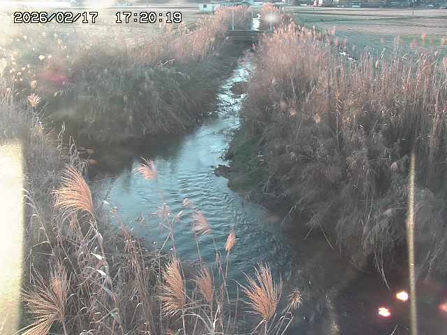 由良川４2026/02/17 18:10