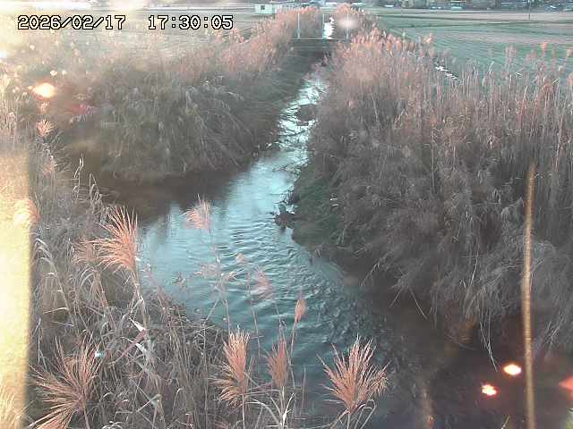 由良川４2026/02/17 18:10