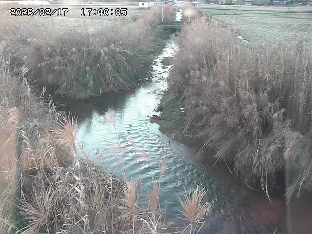 由良川４2026/02/17 18:10