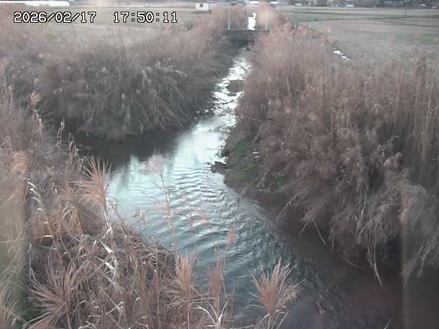 由良川４2026/02/17 18:10