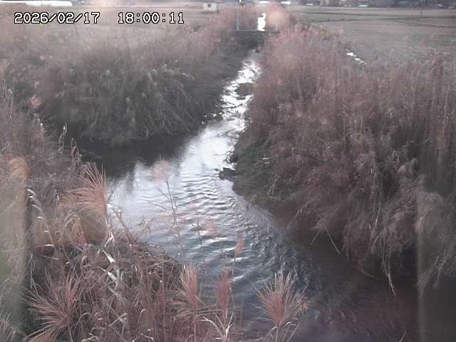 由良川４2026/02/17 18:10