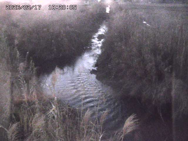 由良川４2026/02/17 18:10