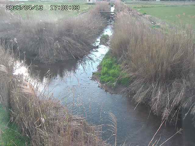 由良川４2026/04/14 16:50