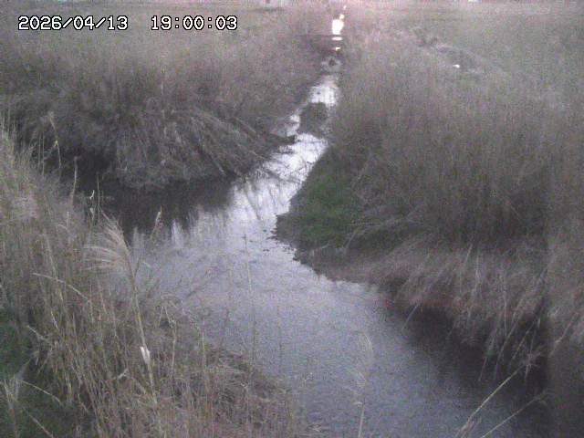 由良川４2026/04/14 16:50