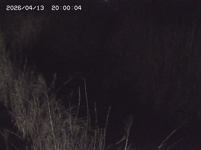 由良川４2026/04/14 16:50