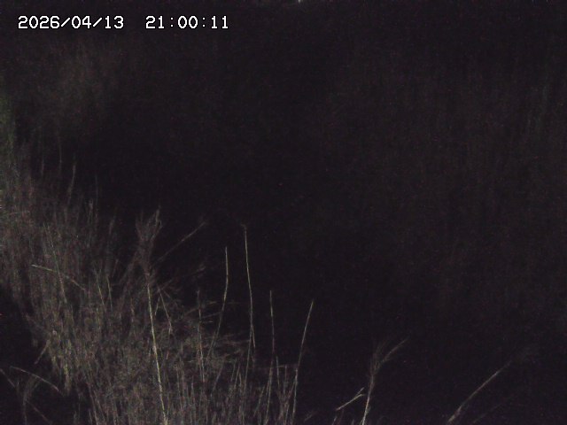 由良川４2026/04/14 16:50