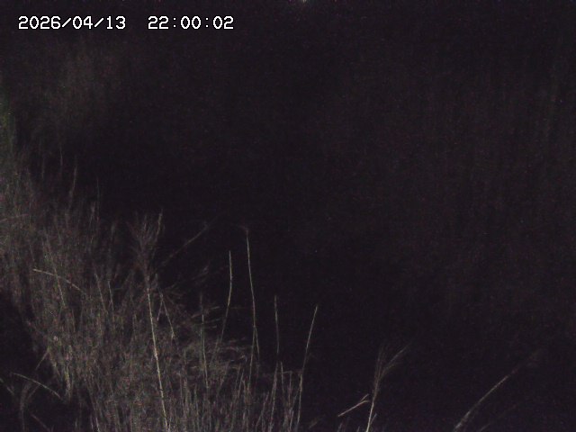 由良川４2026/04/14 16:50