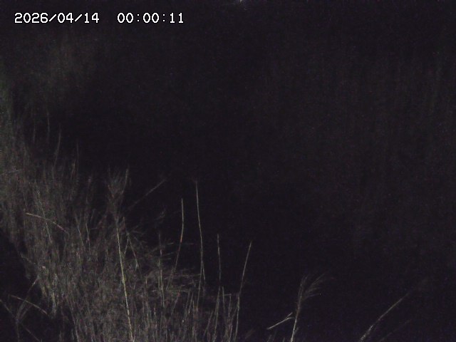 由良川４2026/04/14 16:50