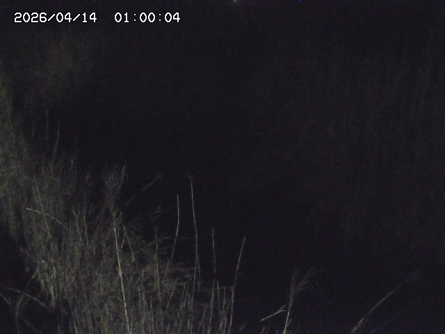 由良川４2026/04/14 16:50