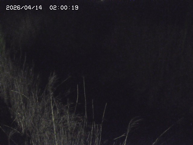 由良川４2026/04/14 16:50