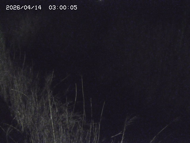 由良川４2026/04/14 16:50