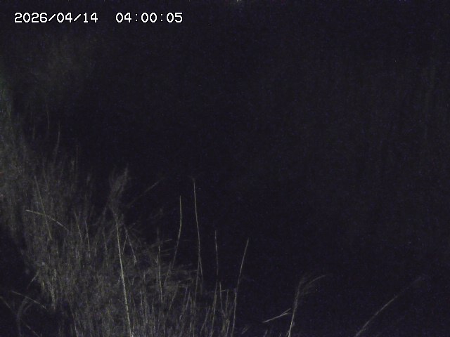 由良川４2026/04/14 16:50