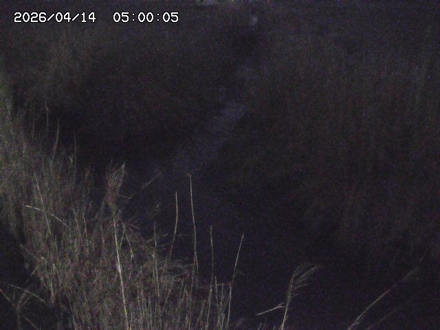 由良川４2026/04/14 16:50