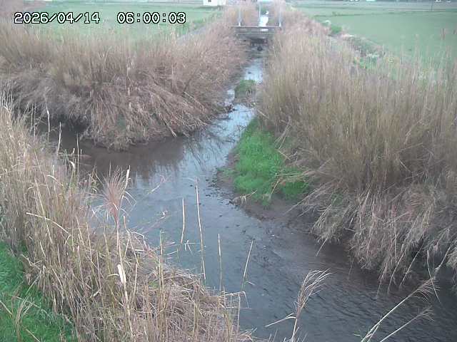 由良川４2026/04/14 16:50