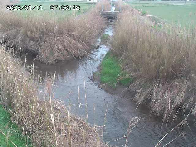 由良川４2026/04/14 16:50