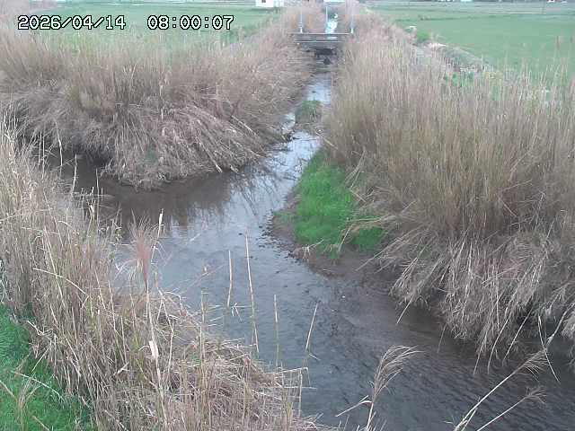 由良川４2026/04/14 16:50