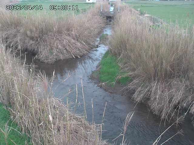 由良川４2026/04/14 16:50