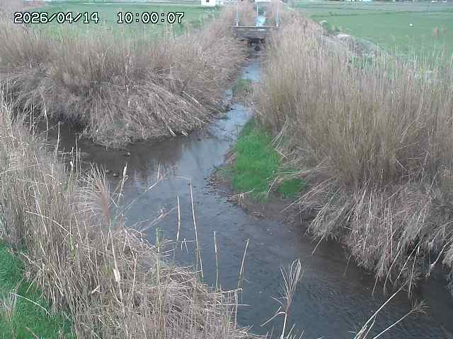 由良川４2026/04/14 16:50