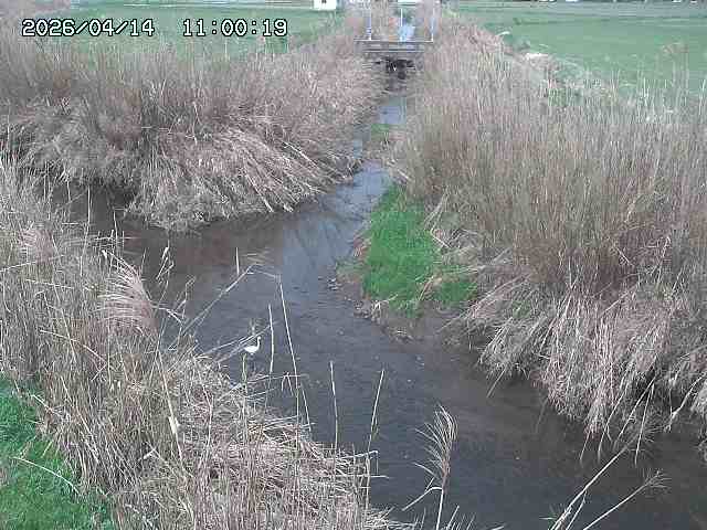 由良川４2026/04/14 16:50