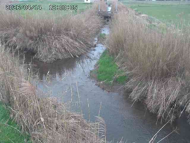 由良川４2026/04/14 16:50