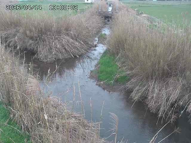 由良川４2026/04/14 16:50