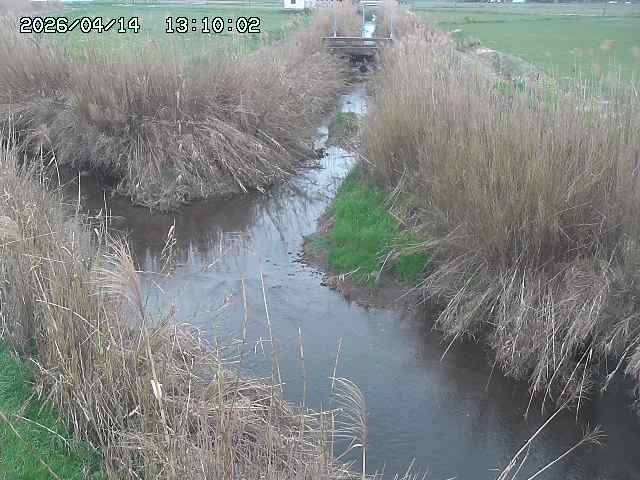 由良川４2026/04/14 16:50