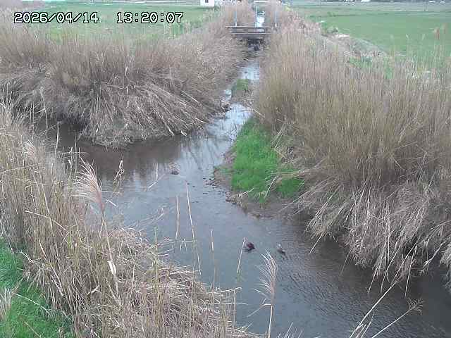 由良川４2026/04/14 16:50