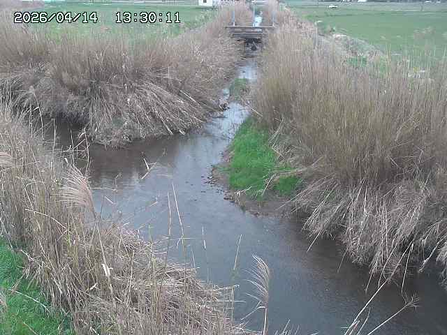 由良川４2026/04/14 16:50