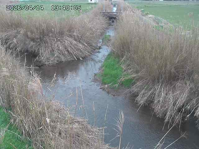 由良川４2026/04/14 16:50