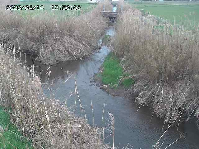 由良川４2026/04/14 16:50