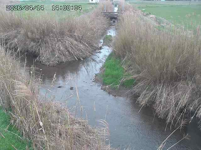 由良川４2026/04/14 16:50