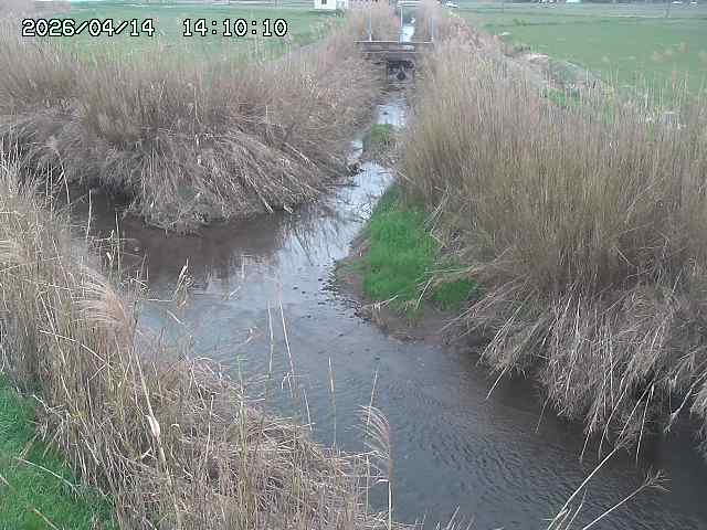 由良川４2026/04/14 16:50