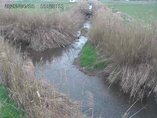 由良川４2026/04/14 16:50