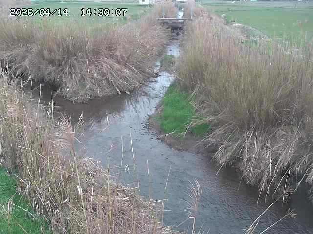 由良川４2026/04/14 16:50