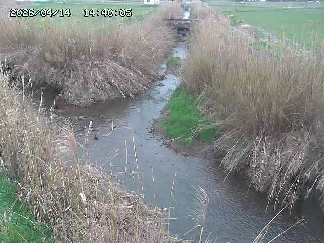 由良川４2026/04/14 16:50