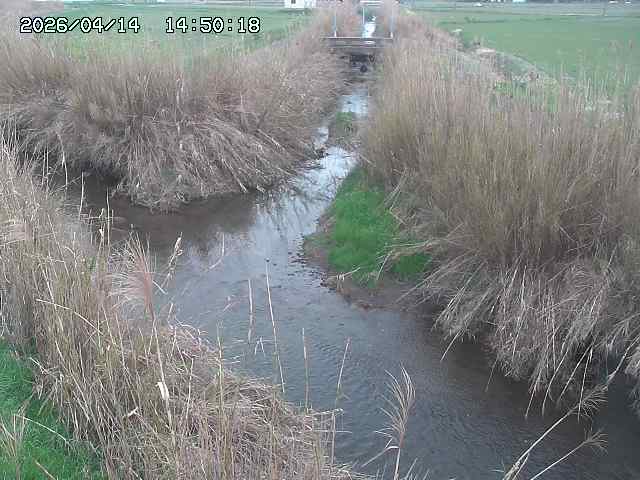 由良川４2026/04/14 16:50