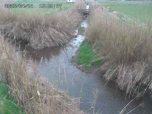 由良川４2026/04/14 16:50