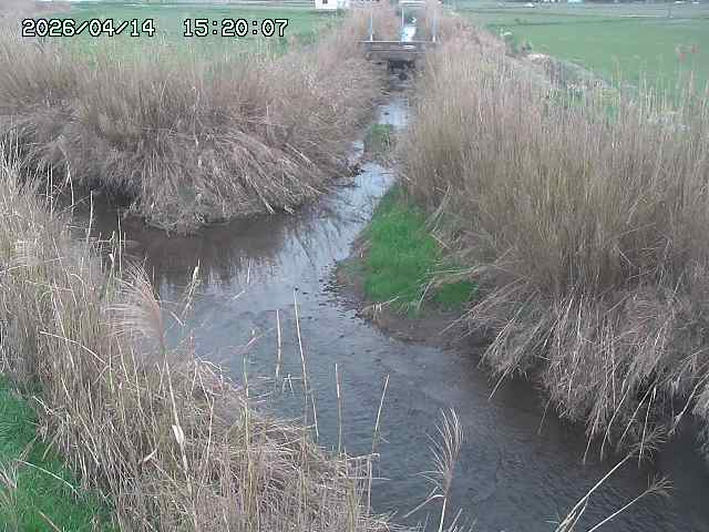 由良川４2026/04/14 16:50