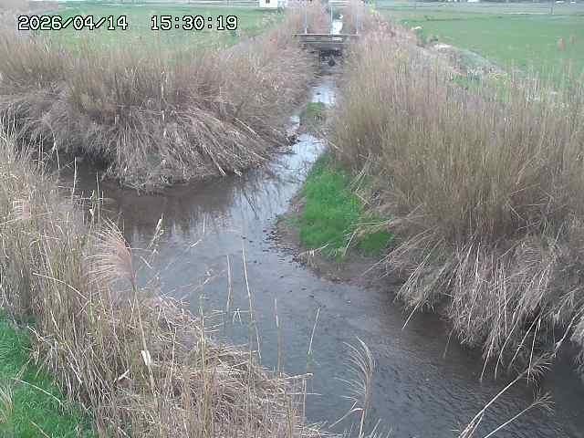 由良川４2026/04/14 16:50