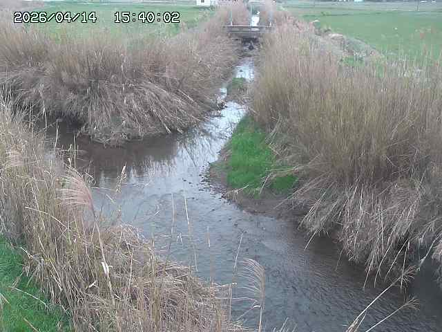 由良川４2026/04/14 16:50