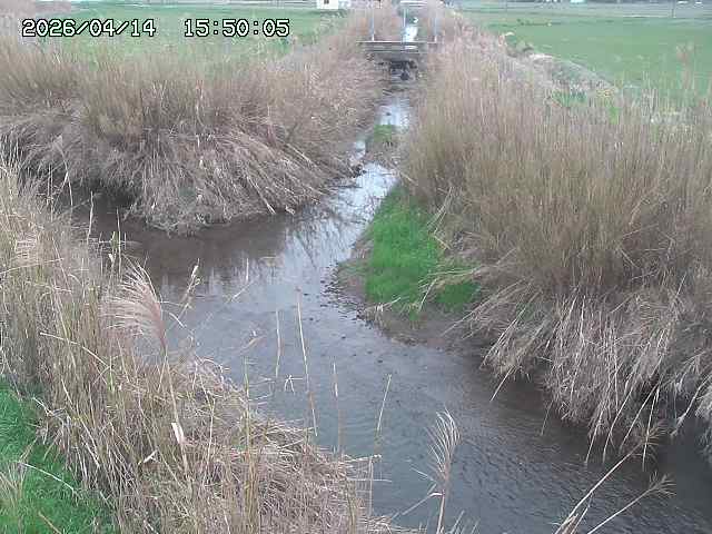 由良川４2026/04/14 16:50