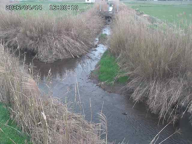 由良川４2026/04/14 16:50