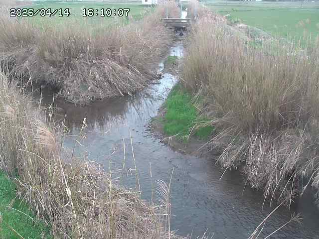 由良川４2026/04/14 16:50