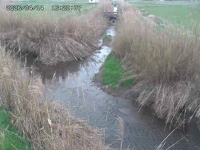 由良川４2026/04/14 16:50