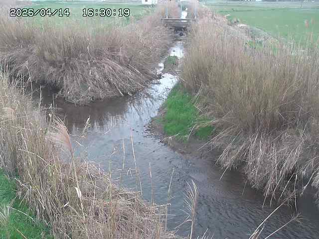 由良川４2026/04/14 16:50