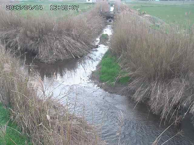 由良川４2026/04/14 16:50