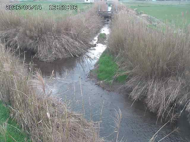 由良川４2026/04/14 16:50